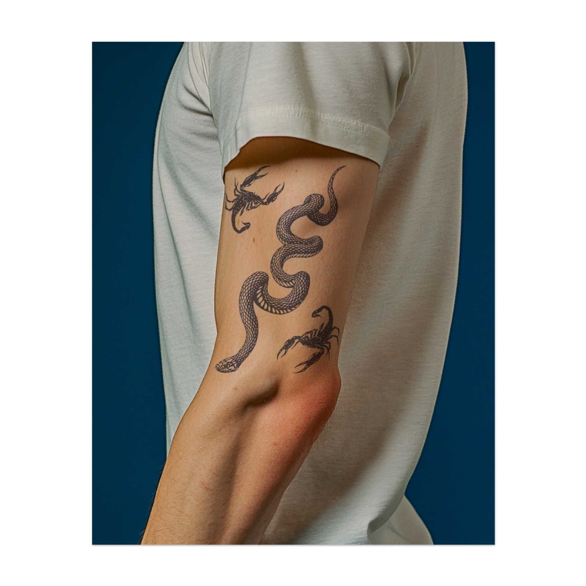 Un elegante serpente arrotolato, con scorpioni alle estremità. Il design simboleggia pericolo e resilienza.