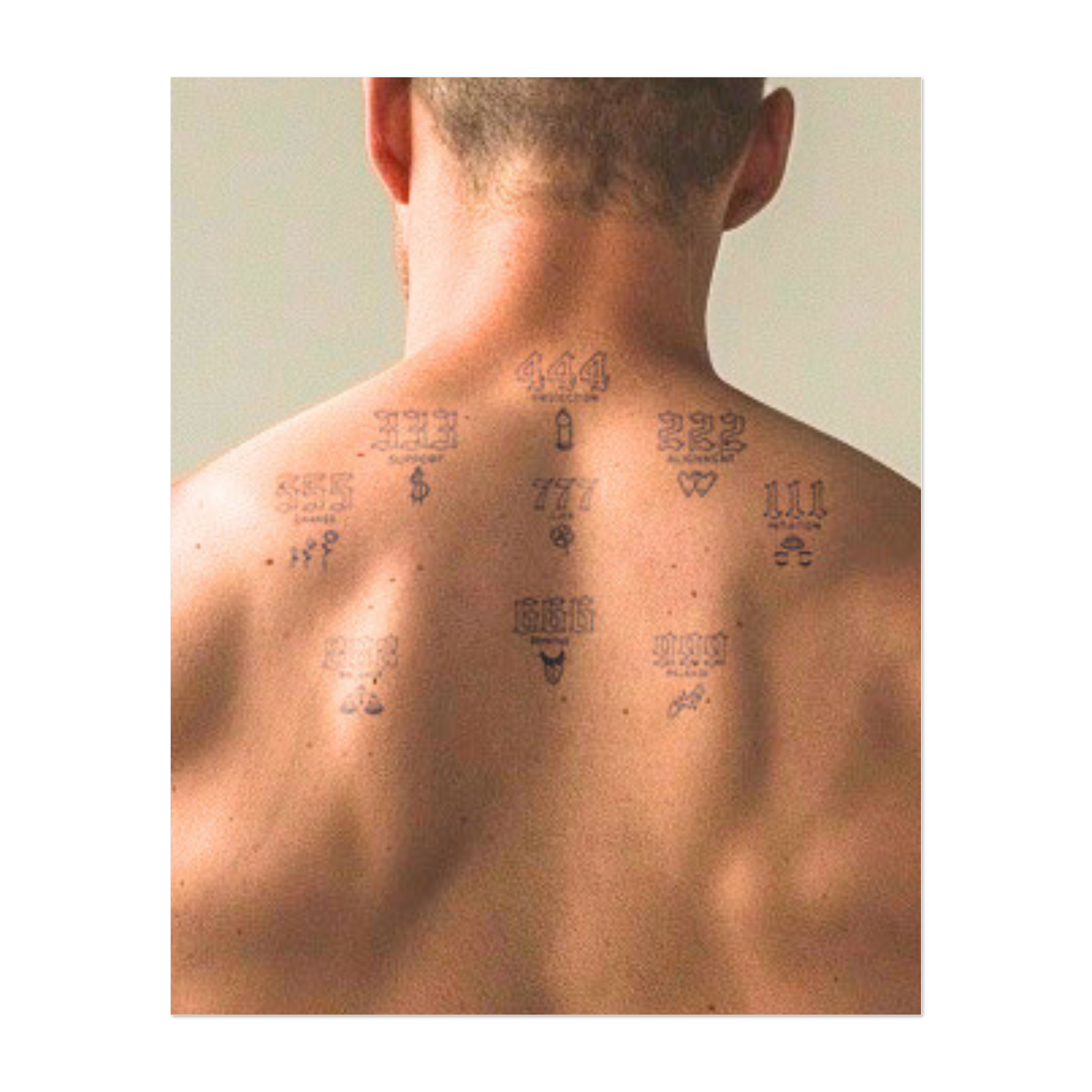 111 (Intuizione), 222 (Allineamento), 333 (Supporto), 444 (Protezione), 555 (Cambiamento), 666 (Domitus), 777 (Fortuna), 888 (Equilibrio), 999 (Lasciar andare). Ogni numero rappresenta una forza guida unica per la crescita personale.