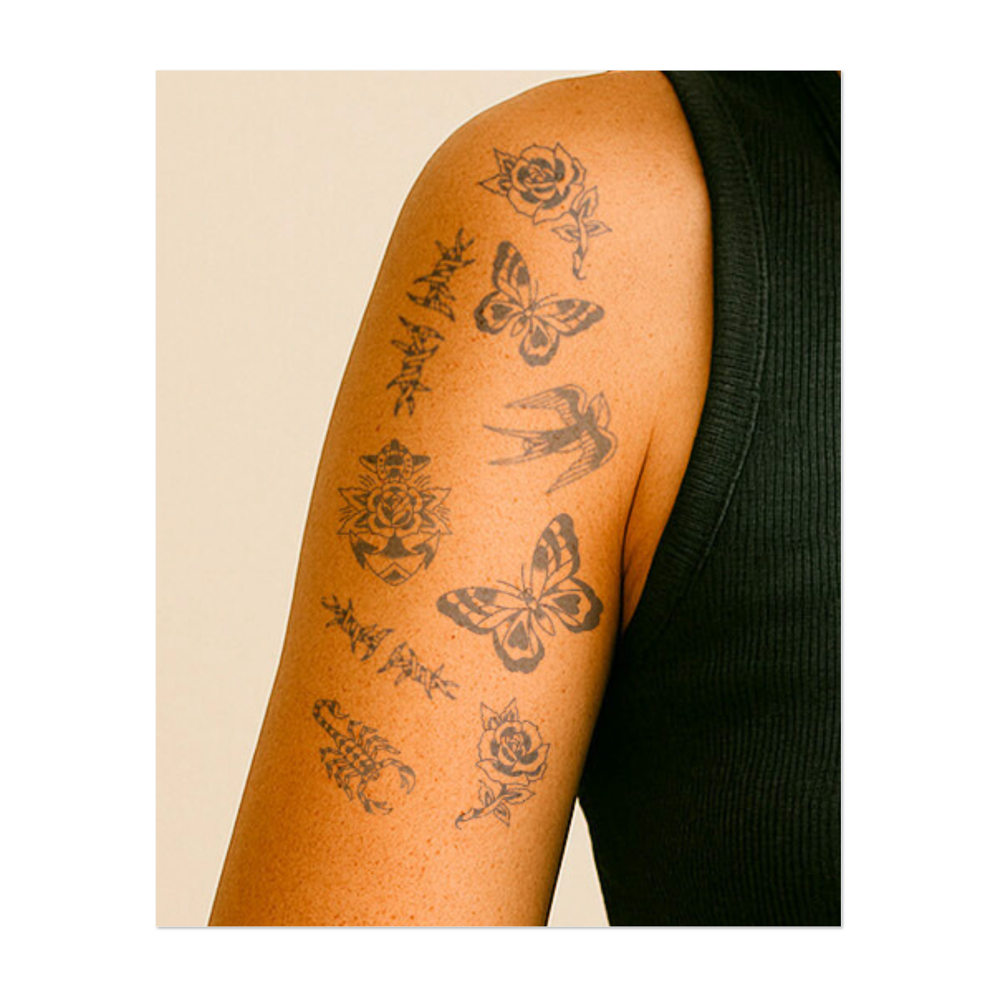 Un insieme di simboli contrastanti: rondini in volo, uno scorpione, farfalle vivaci, rose in fiore e una coccinella. Questi disegni combinano la bellezza della natura con il pericolo e catturano temi come libertà, trasformazione e forza.