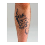 Una potente tigre accovacciata, pronta a colpire. Questo tatuaggio simboleggia furtività, forza e concentrazione. Perfetto per chi apprezza l'agilità, il coraggio e l'arte dell'azione precisa, come la maestosa tigre.