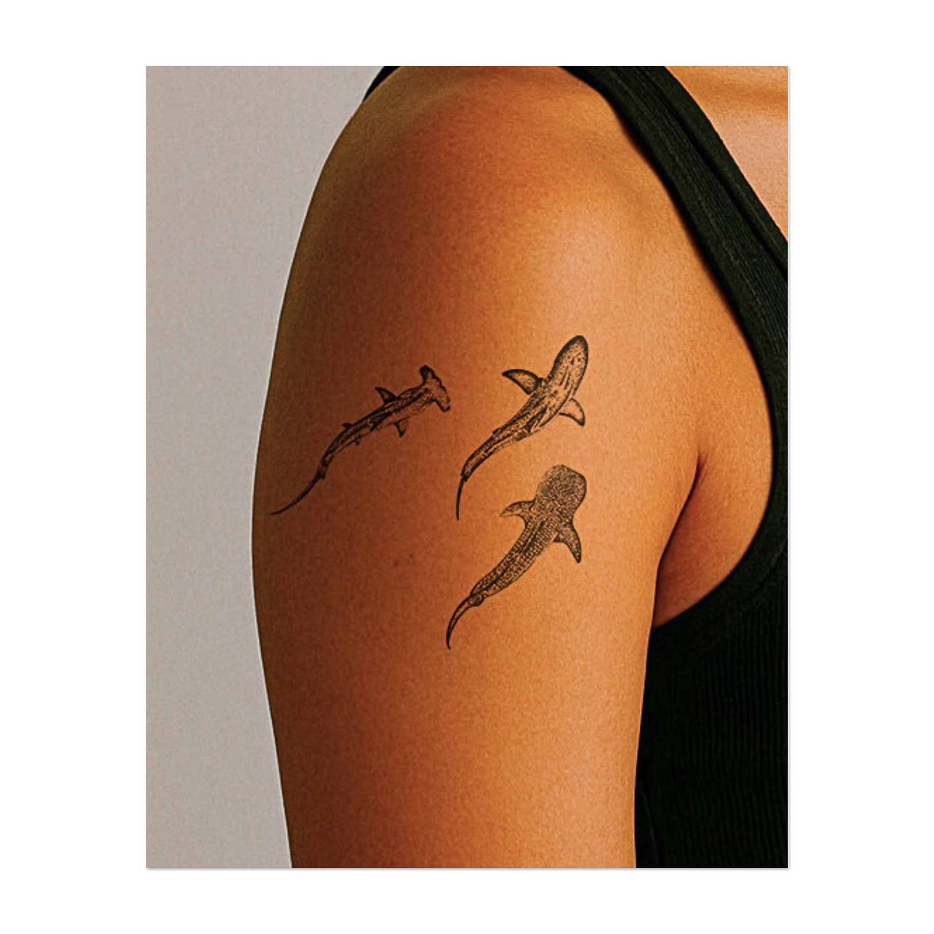 Un set dettagliato di tre specie di squali: lo squalo martello, il grande squalo bianco e lo squalo balena. Progettati utilizzando delicate tecniche di punteggiatura, i disegni trasudano dinamismo, forza ed eleganza naturale, perfetti per gli amanti dell'oceano.