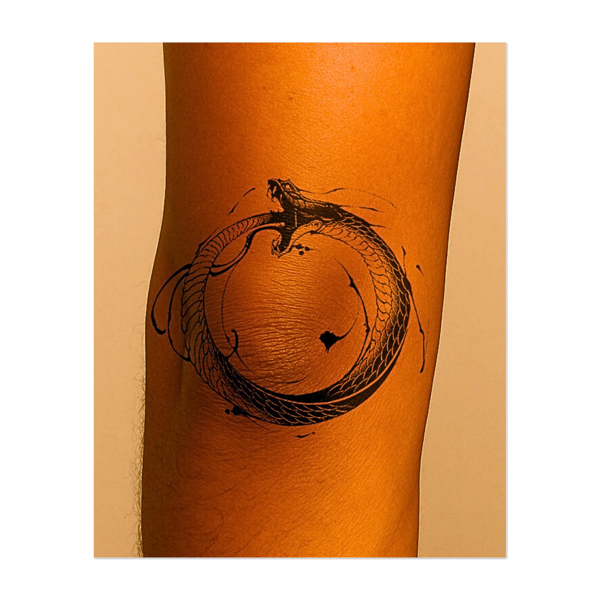 Questo straordinario tatuaggio raffigura un serpente dettagliato che si divora la coda, formando un cerchio perfetto. Questo disegno simboleggia l'infinito, la rinascita e la natura ciclica dell'esistenza, combinando misticismo antico, eleganza moderna e linee sorprendenti.