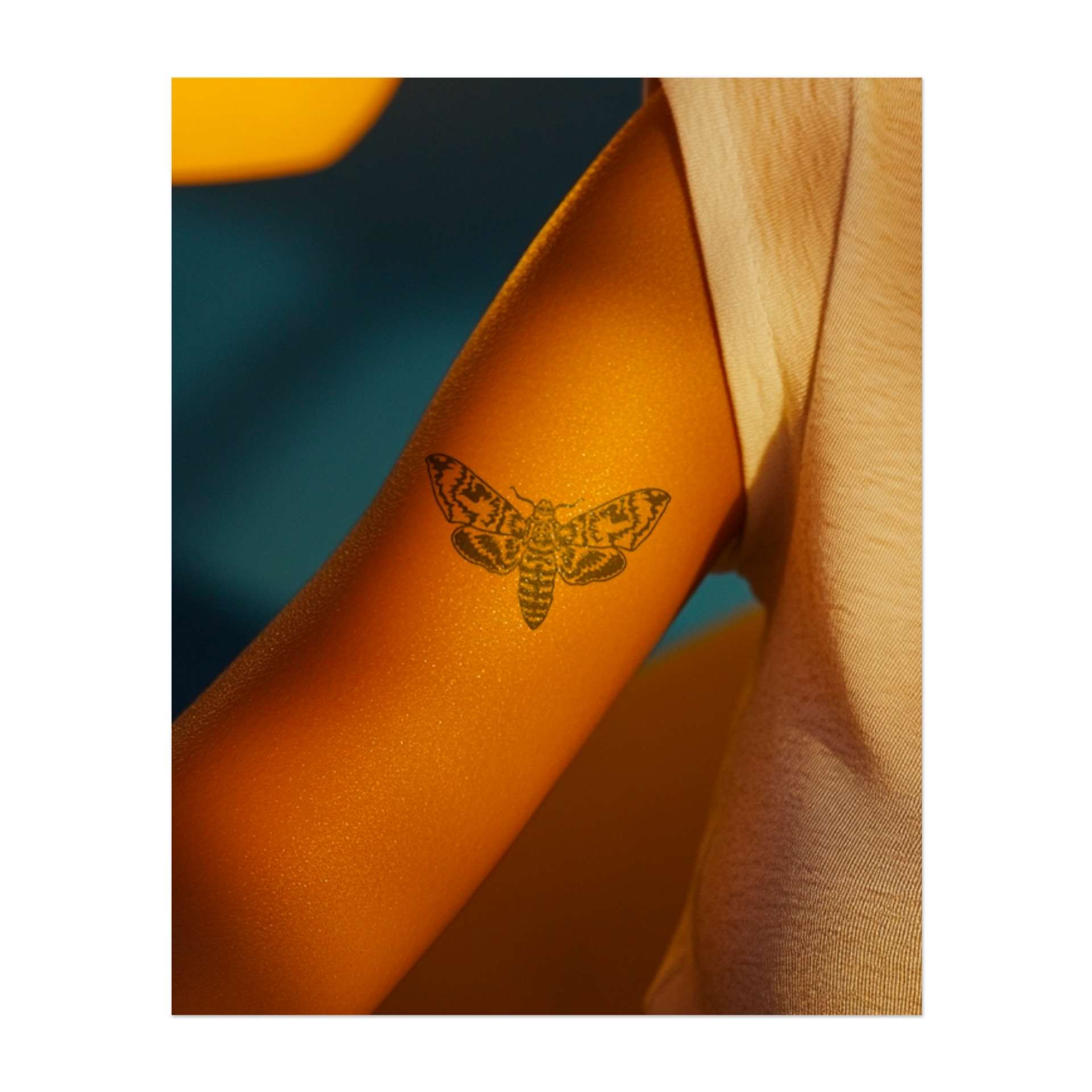 Una falena dettagliata con intricati motivi sulle ali. Simboleggia la trasformazione, il mistero o il legame con la natura. Un design sorprendente e simbolico.