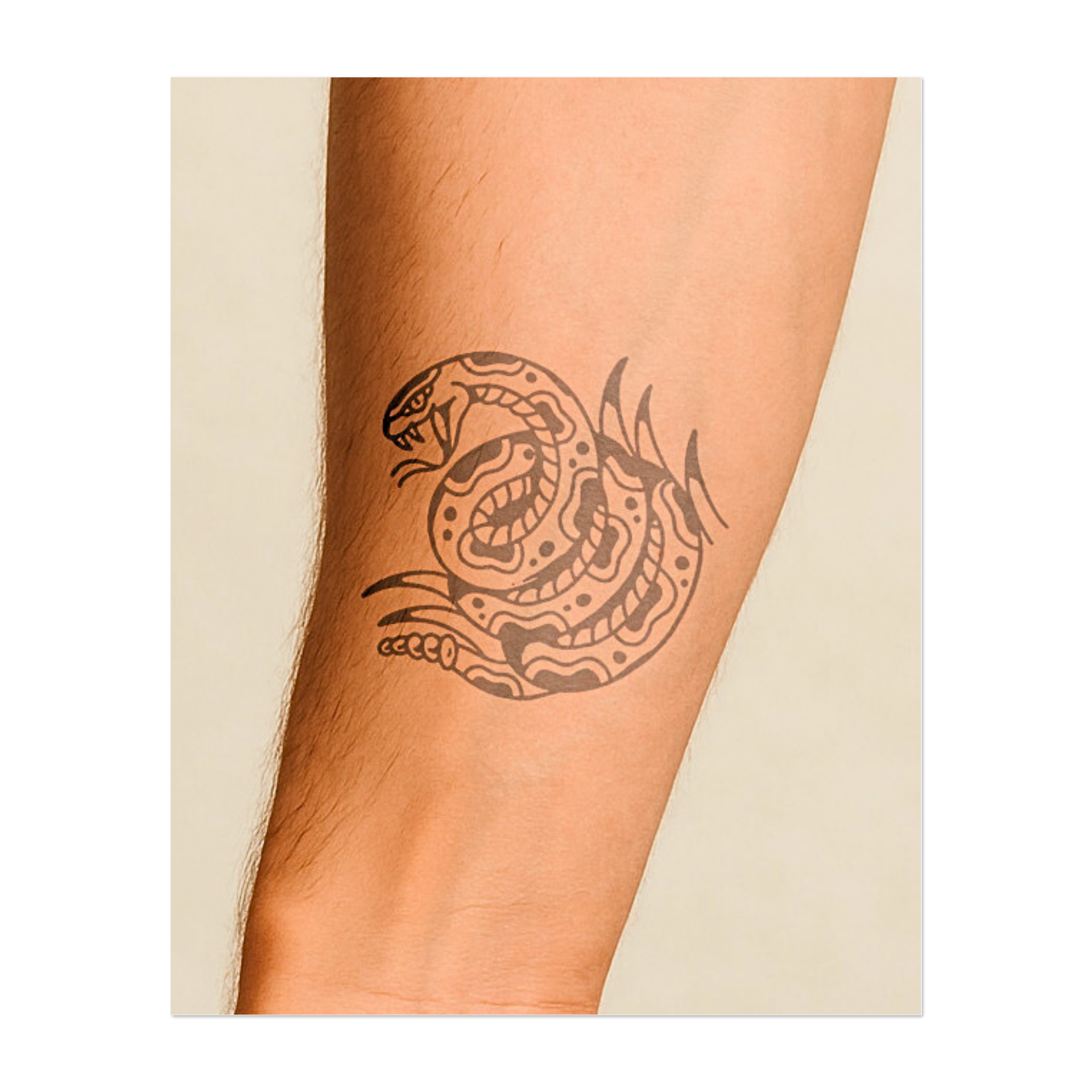 Un serpente con motivi di ispirazione tribale. Rappresenta la trasformazione, il mistero o un legame con simboli antichi.