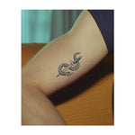 Un serpente avvolto attorno a un pugnale. Rappresenta il pericolo, la protezione o la lotta tra forze opposte.