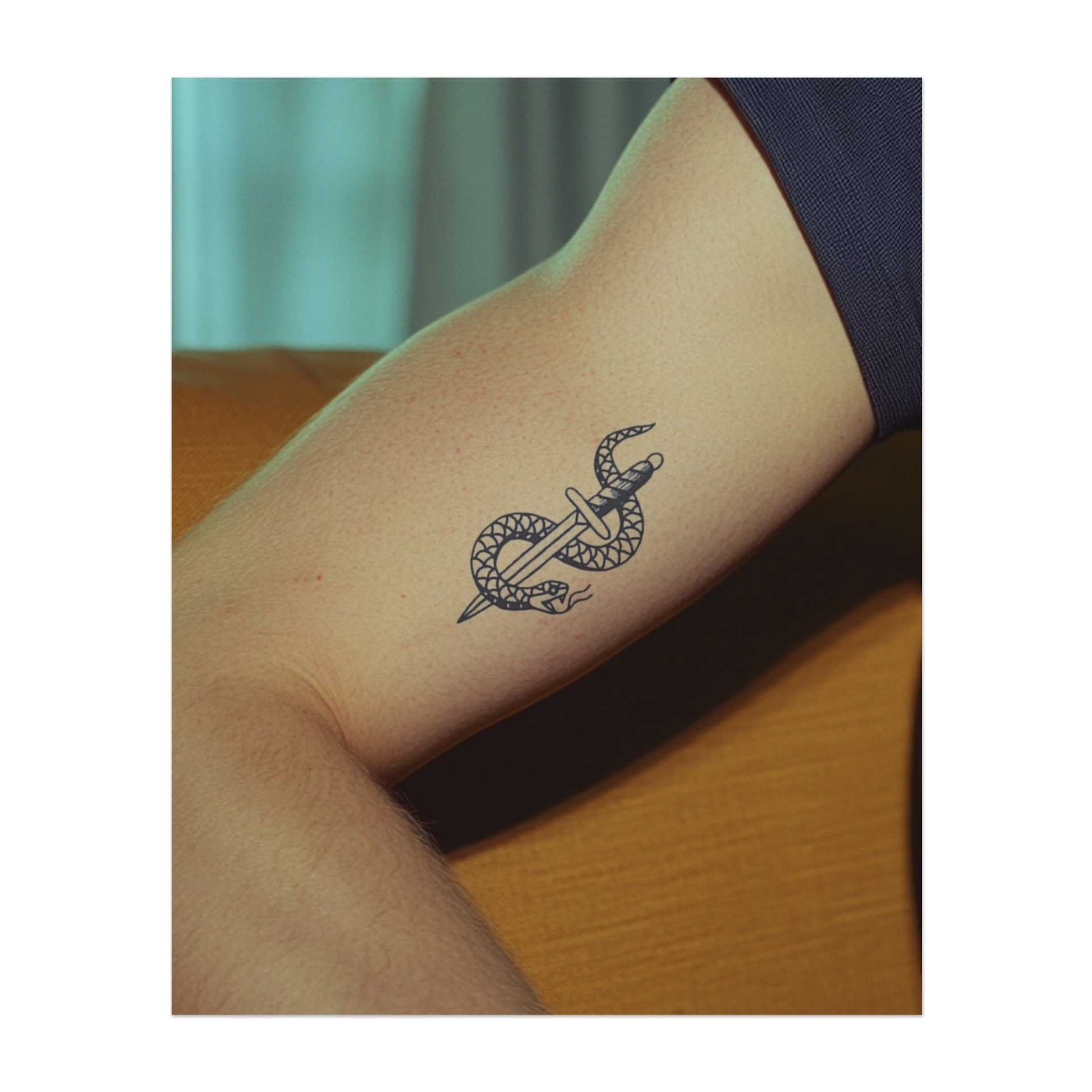 Un serpente avvolto attorno a un pugnale. Rappresenta il pericolo, la protezione o la lotta tra forze opposte.