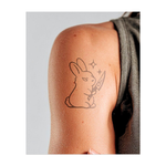 Un coniglio che impugna un coltello, circondato da stelle. Simboleggia un pericolo inaspettato, un giocoso tocco di violenza o un simbolo di dualità.