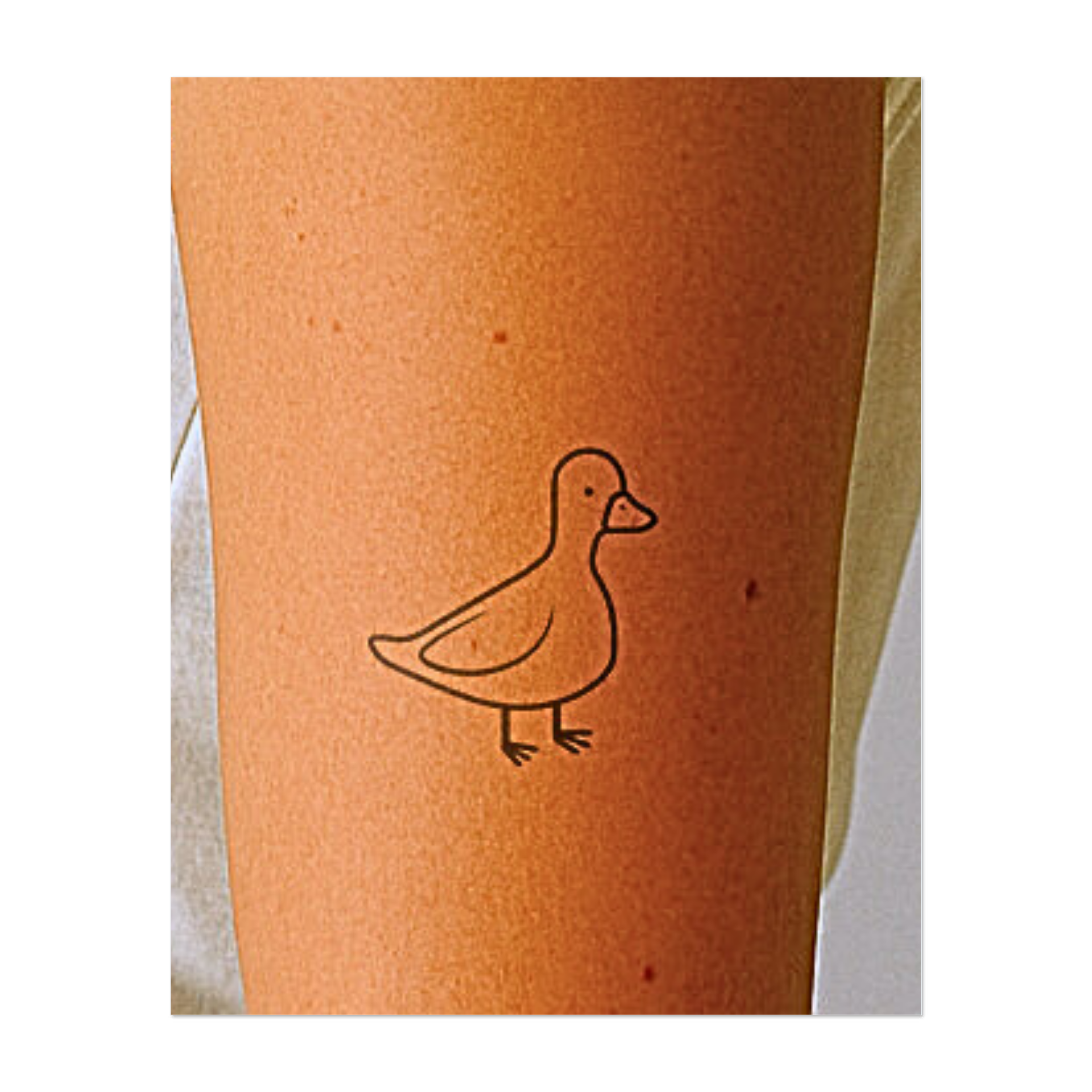 Un'illustrazione affascinante e pulita di un'anatra, con curve delicate e dettagli semplici. Questo design giocoso ma elegante emana un'atmosfera calma e amichevole, ideale per gli amanti della natura o per chi è attratto dall'arte leggera e minimalista.